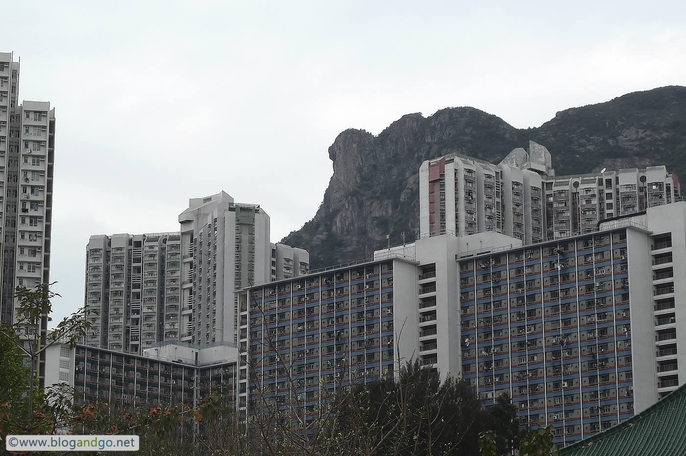 Lion Rock from Wang Tau Hom